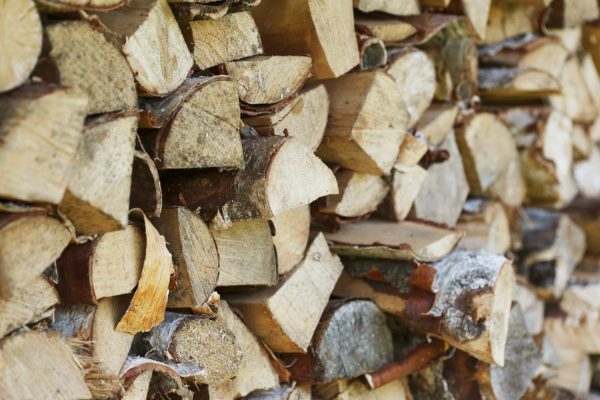maple firewood for sale